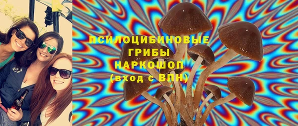 МДМА Новодвинск