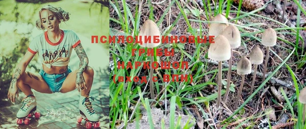 соль курить ск Новозыбков