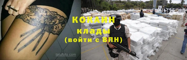 соль курить ск Новозыбков