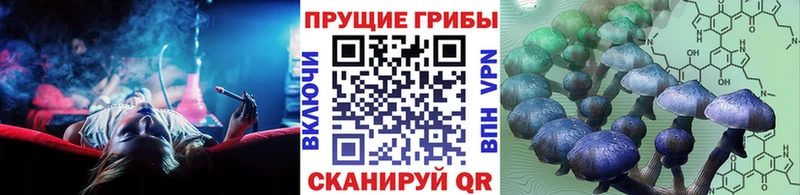 Галлюциногенные грибы мицелий даркнет телеграм Игра omg маркетплейс