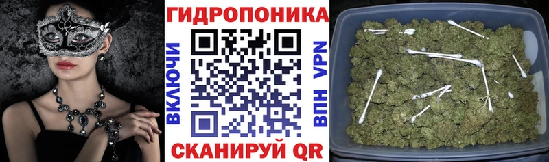 Шишки марихуана конопля  Игра 